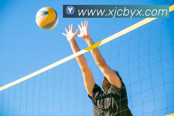 8868体育官网登录方法发展历程